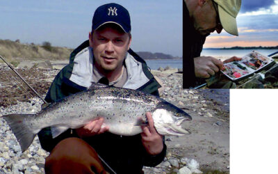 HAVØRRED: DE BEDSTE KYSTPLADSER PÅ ALS