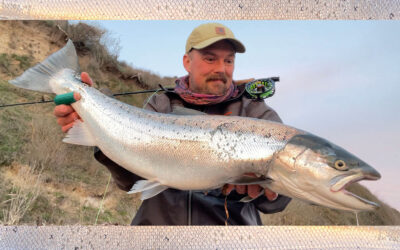 WESTIN CUP 2026: NY BLANK PR-HAVØRRED PÅ HJEMMEBUNDET FLUE