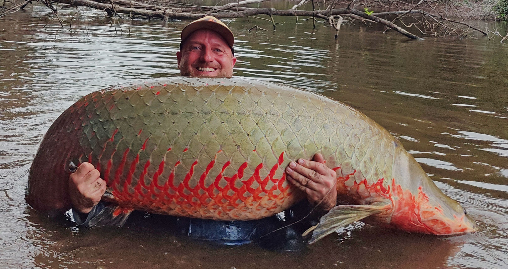 Rene med sin største arapaima. Øverst Rene Larsen med sin flotte Piraiba-malle og sin næstsørste Arapaima fra Guyanas jungle.