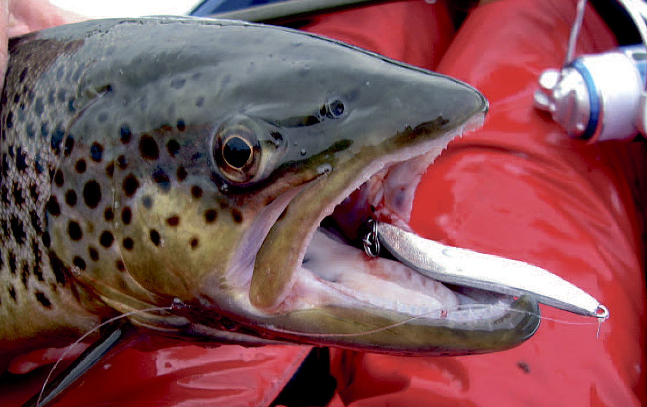 De Alsiske kyster byder pågodt fiskeri fra flydering eller som her kajak.