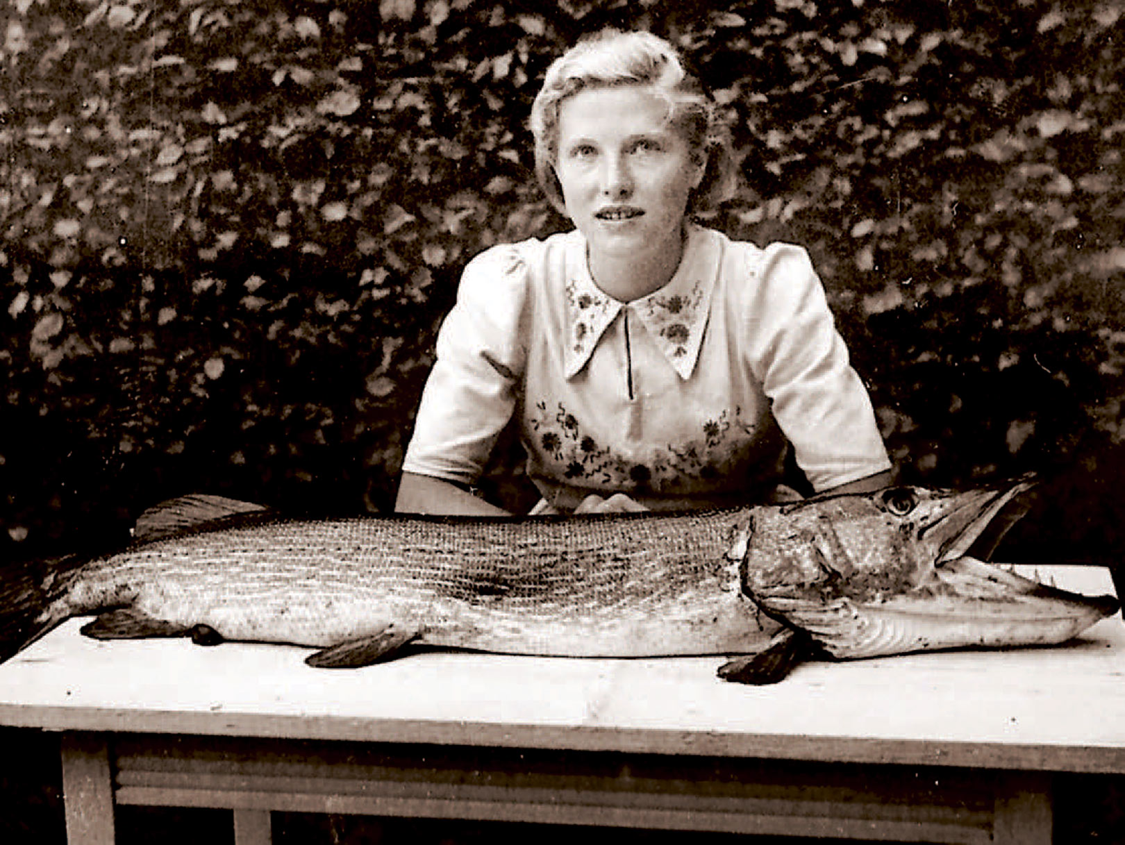 Skønheden og udyret – er denrette betegnelse for dette billede fra 1938. Den søde unge pige er Susanne Simmelhag, hvis far fangede denne 125 centimeter lange, men kun 8,5 kilo tunge gedde, i Furesøen.