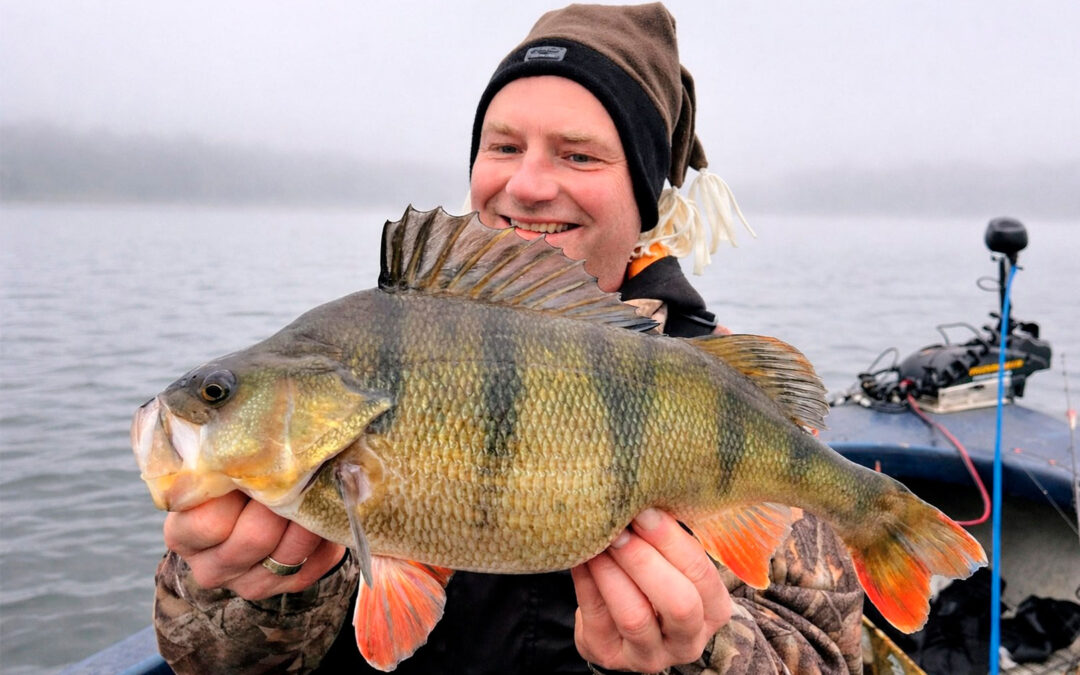 WESTIN CUP 2026: KÆMPEABORRE PÅ LEVENDE SKALLE