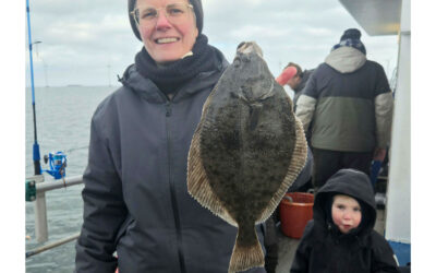 GODT GANG I FLADFISKENE PÅ ØRESUND