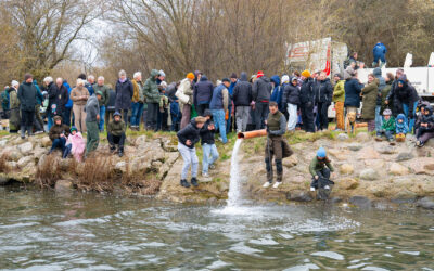 2650 – NYE HAVØRREDUDSÆTNINGER VED HVIDOVRE