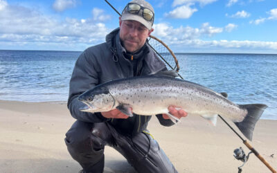 WESTIN CUP 2026:  40 STORE HAVØRREDER PÅ 10 TIMERS FISKERI I SKÅNE