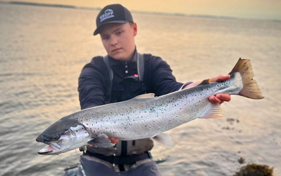 WESTIN CUP 2026: HVIDE OG BLÅ FLUER – DE KA´ NOGET TIL STORE HAVØRREDER