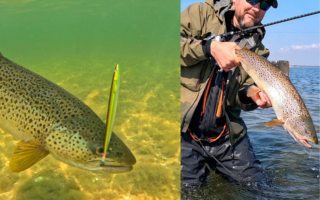 WESTIN CUP 2026: UDFORDRENDE DAG PÅ FJORDEN GAV HAVØRRED TIL SIDST