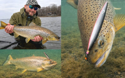 WESTIN CUP 2026: HAVØRREDSØNDAG MED MASSER AF FLEX