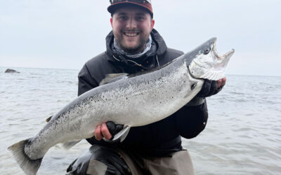 WESTIN CUP 2026: 81 CM DRØMMEHAVØRRED FRA BORNHOLM