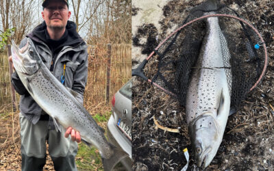 WESTIN CUP 2026: HAVØRRED – NÅR NETTET BARE IKKE HELT ER STORT NOK