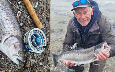 WESTIN CUP 2026: EN STRIBE FLOTTE KYSTHAVØRREDER PÅ FLUE