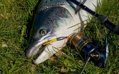 LAKSEPREIMERE GAV TRE LAKS OVER METEREN