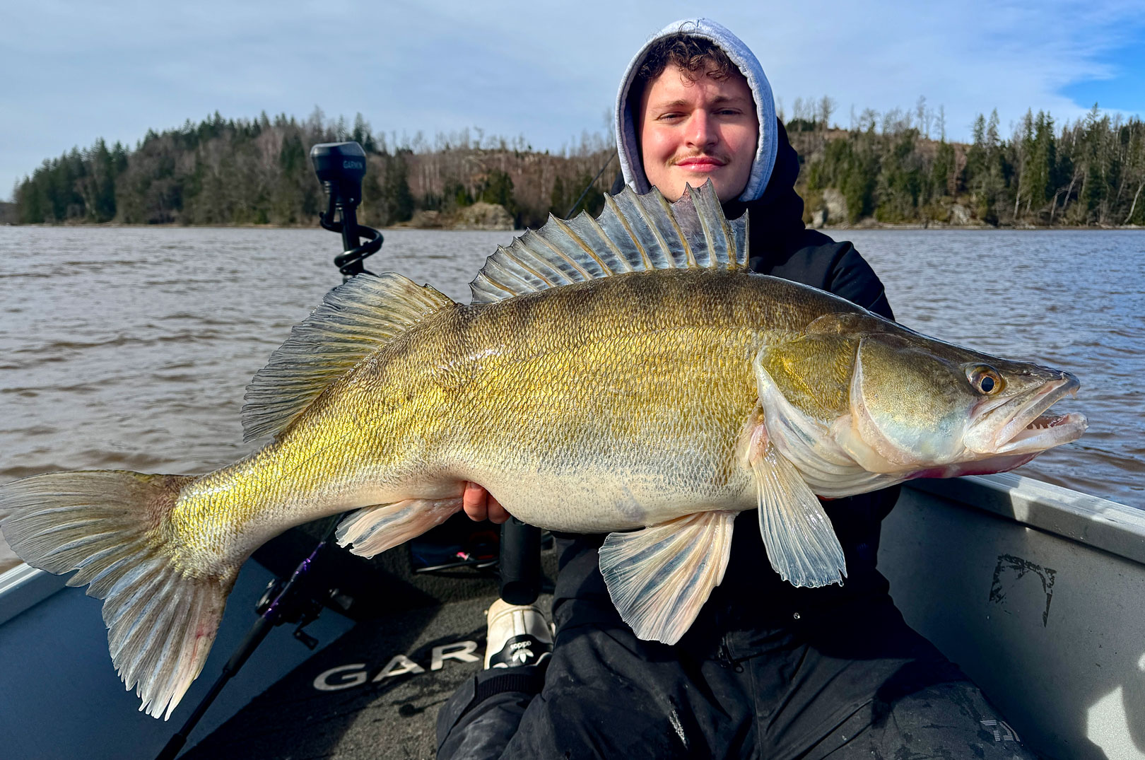 Rasmus Christensen er startet som prostaffer for Daiwa Scandinavia. Her ser du ham med en af de kæmpestore sandarter fra Finland. 12,2 vej3er fisken her - øverst den største på 13,3 kilo.