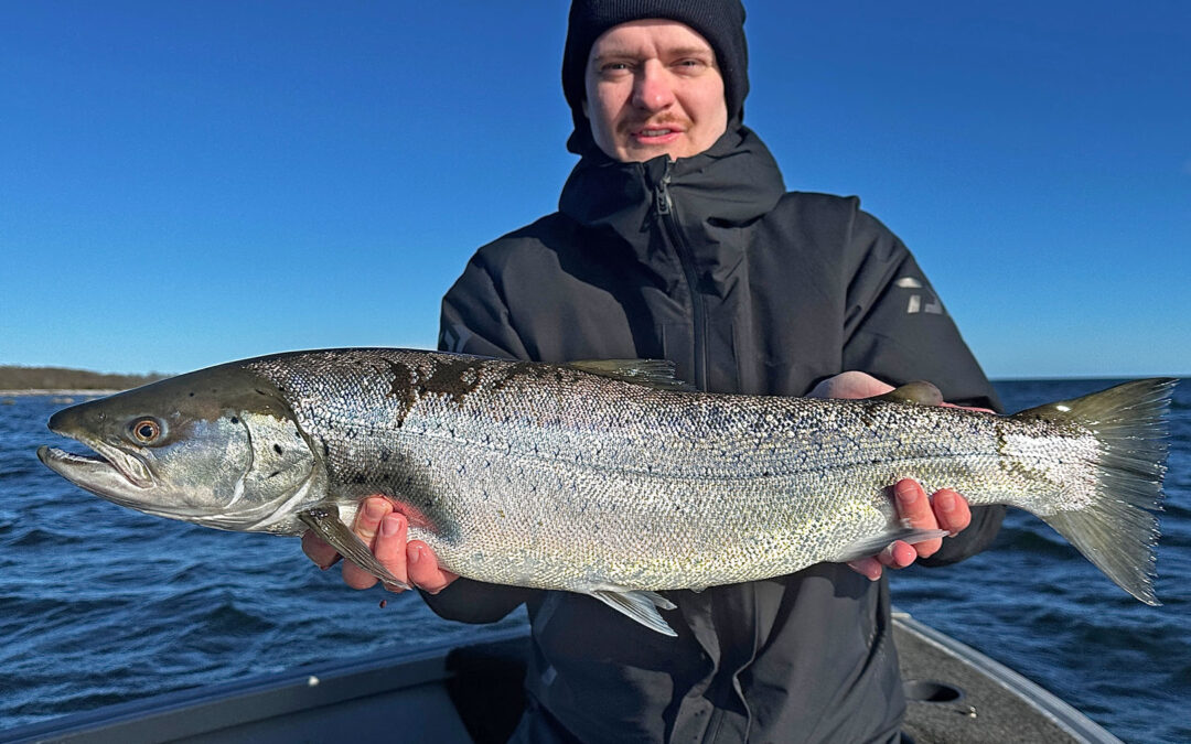 Rasmuses ven med den flotte havørred