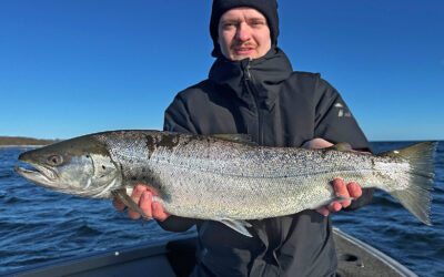 ET PAR SOLIDE HAVØRREDER PÅ BÅDFISKERI