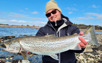 WESTIN CUP 2026: FINE HAVØRREDER FRA SKÅNE
