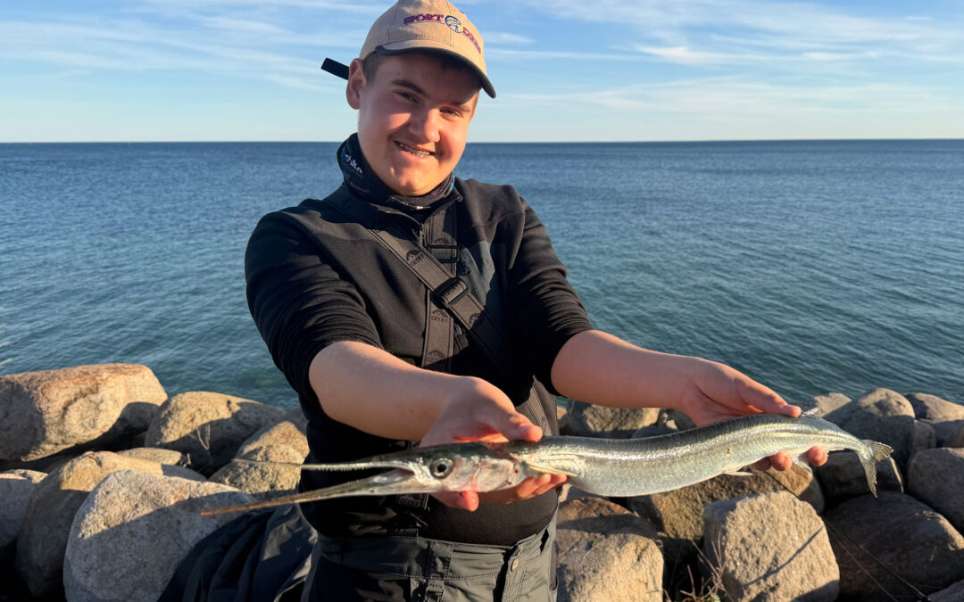 Alfred med sin flotte hornfisk fra Brøndby Havn.