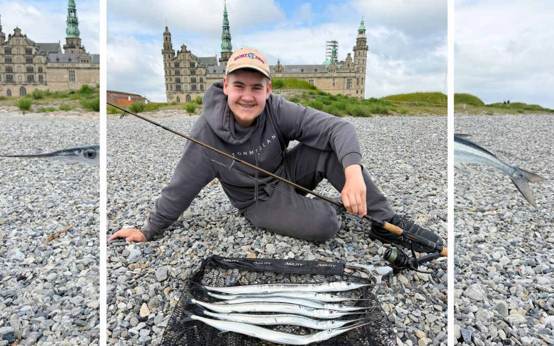 Alfred Weinholt med sine fine hornfisk fra Kronborg.