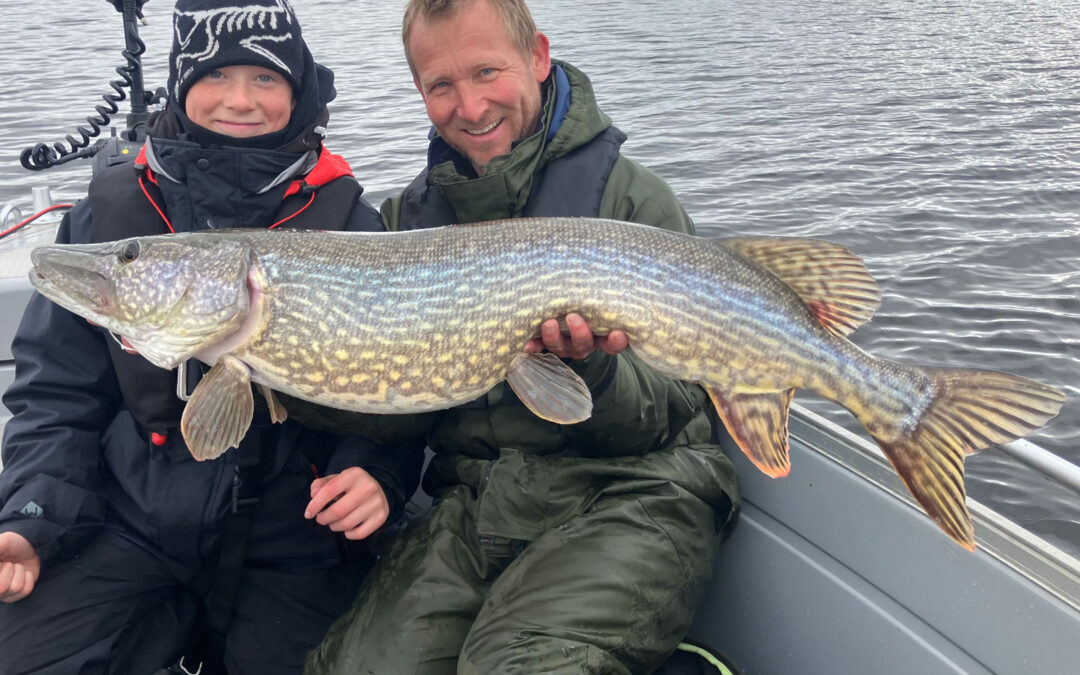 WESTIN CUP 2026: FLOT STORGEDDE HUGGER WOBLER