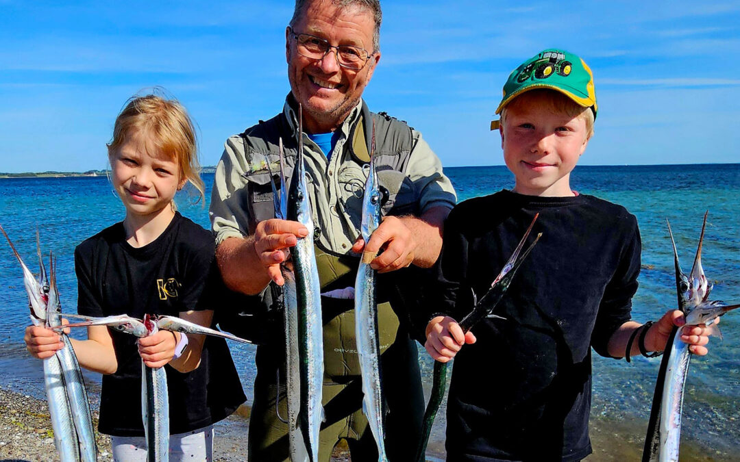 Arne Biering og børnebørnene med en håndfuld fine hornfisk fra Århusbugten.