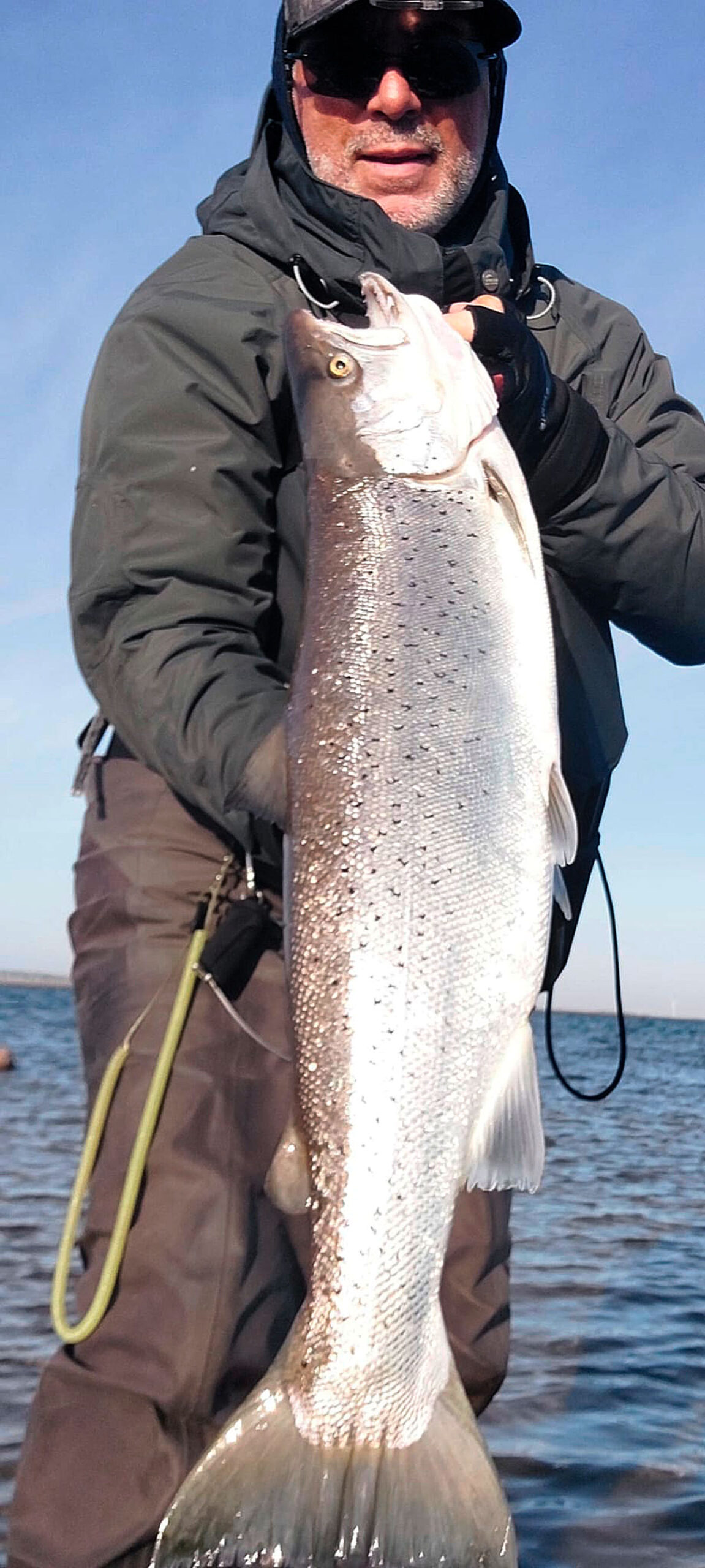 Drømmefisk!