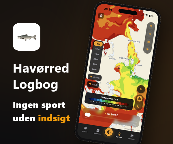 Havørred Log