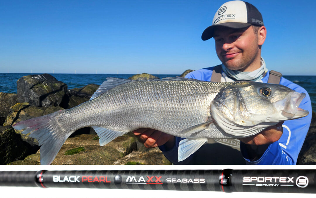 Sportex Black Pearl MAXX Seabass