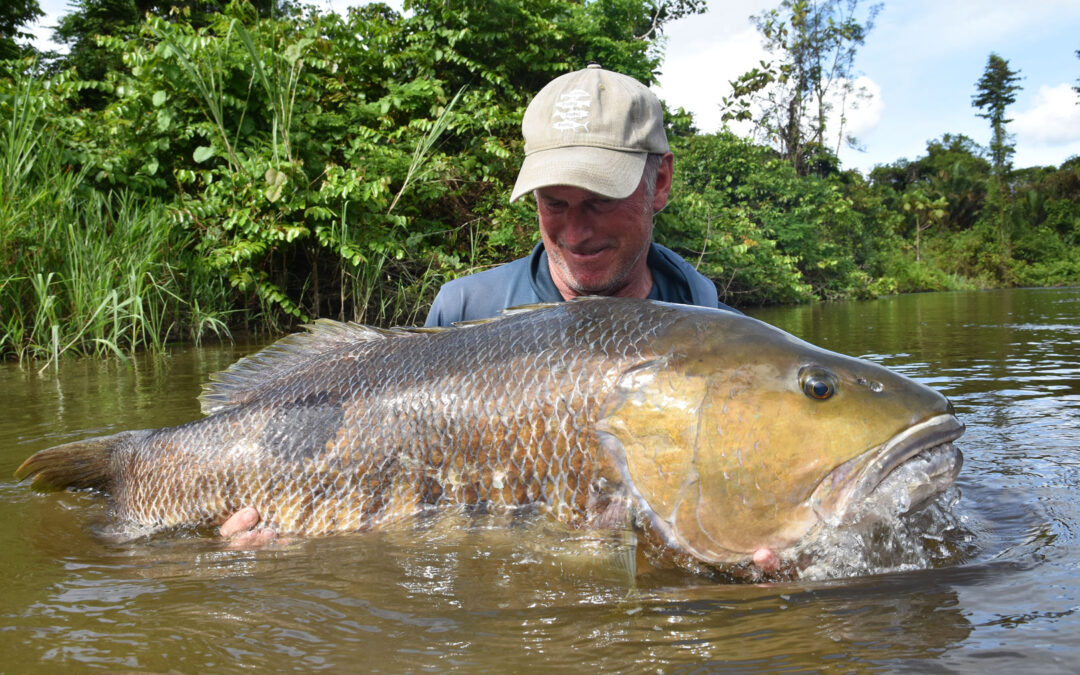JUNGLEFISKERI EFTER PAPUAN BLACK BASS OG SPOTTAIL BASS – DEL 2