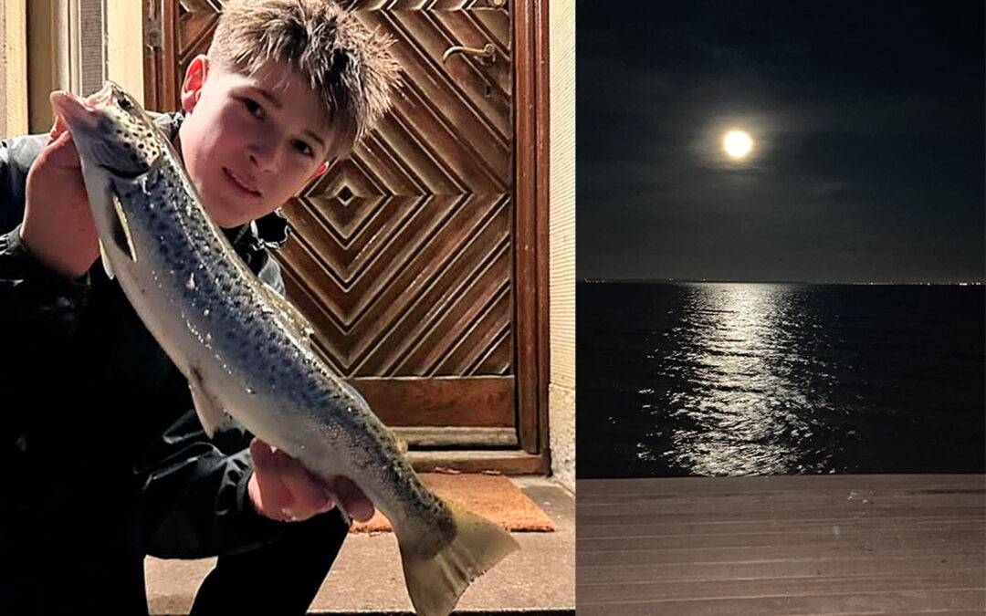 WESTIN CUP 2026: HAVØRRED-KAOS PÅ FLADFISKEFORFANG