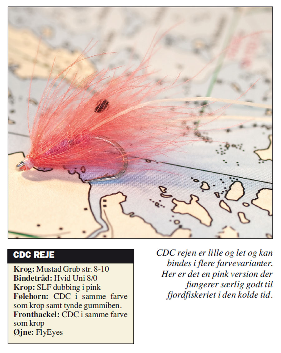 CDC Reje
