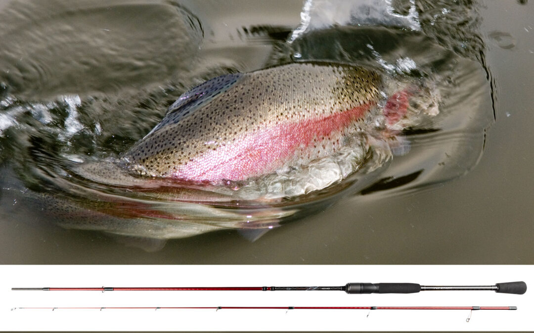 Daiwa Ninja Put and take