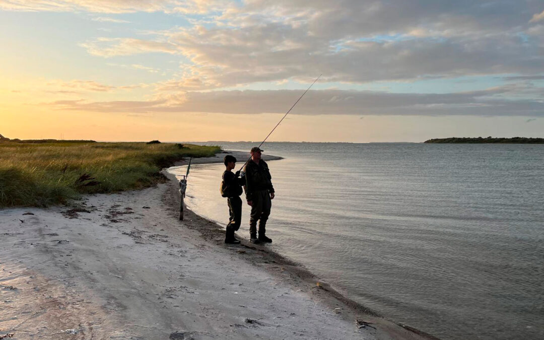 Oplev havet ved Assens