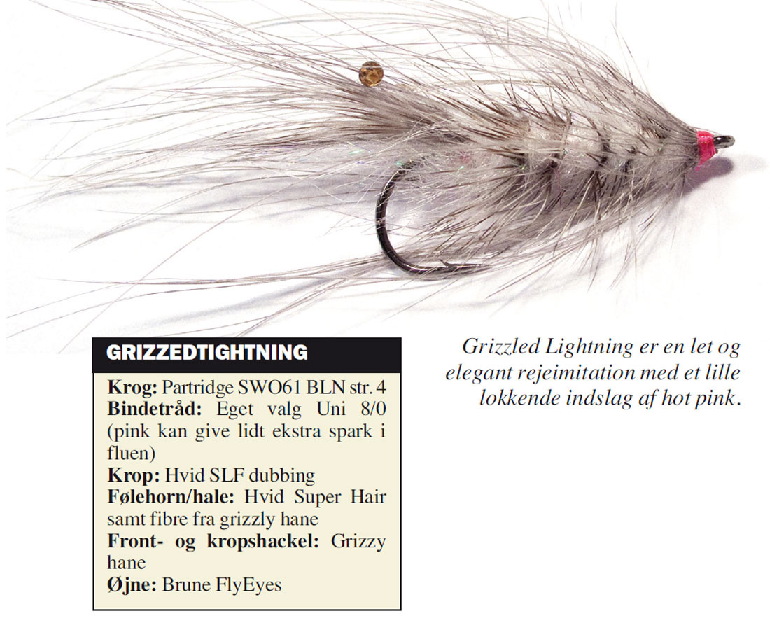 Grizzedtighting