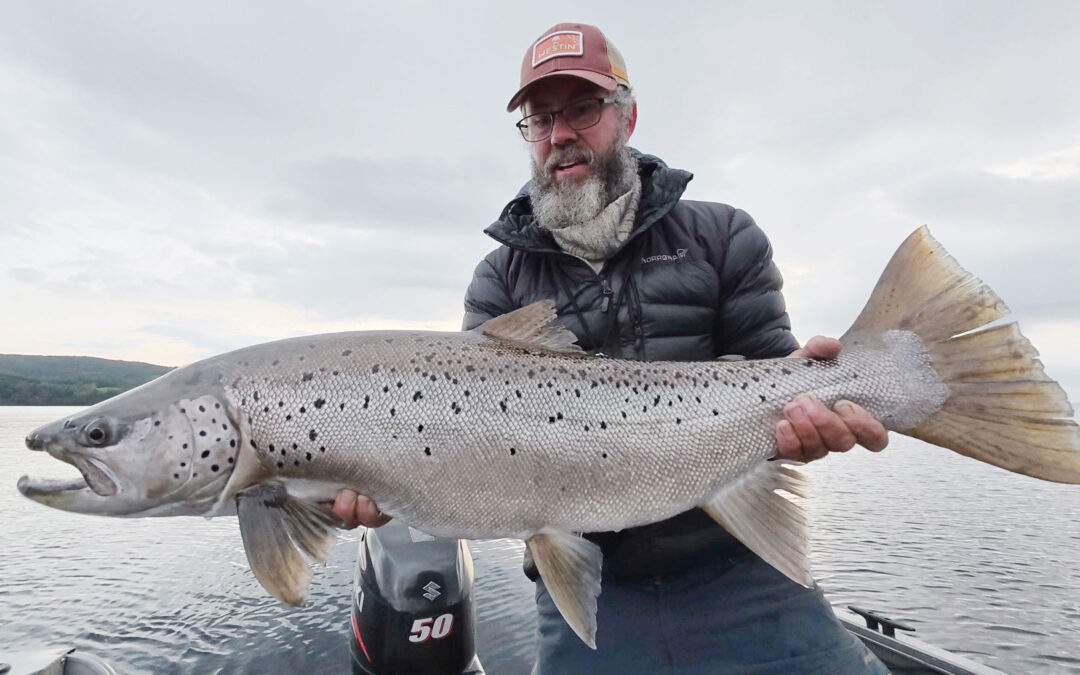 SPIN: GIGANT SØØRRED PÅ LIVECAST