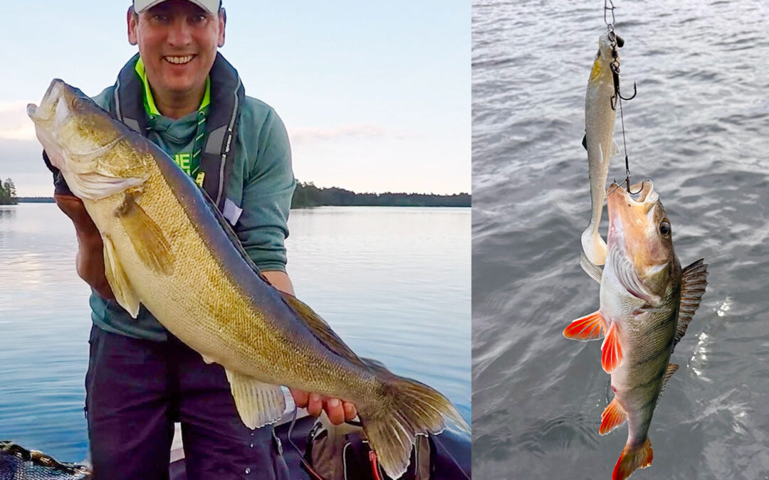 Søren Frederiksen fik både flotte sandarter og aborrer i Småland.