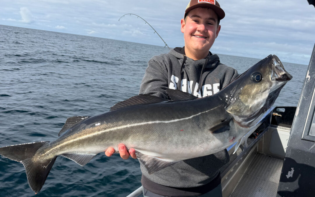 DAIWA OPEN 2026: PÅ HAVFISKEEVENTYR I NORGE