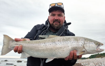 DAIWA OPEN: FINE HAVØRREDER FRA VESTSJÆLLAND