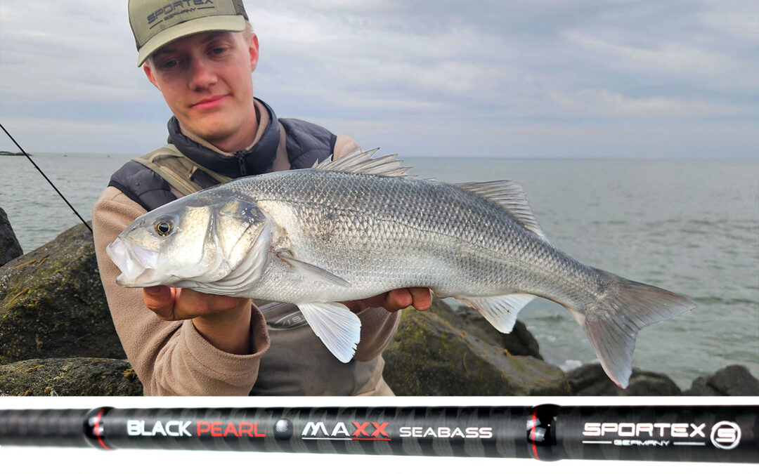 I Ugens Konkurrence kan du vinde den nye Sportex Black Pearl MAXX Seabass.