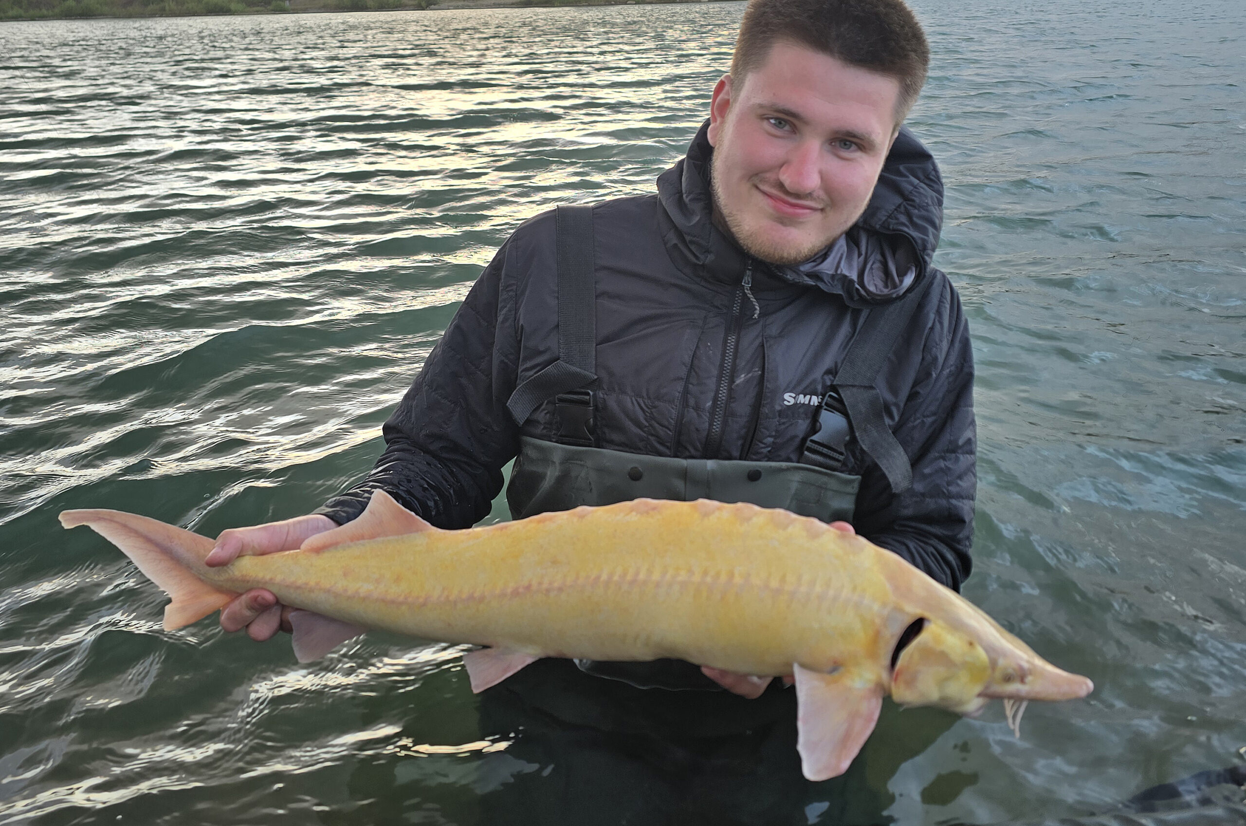 Daniel med en fin sterlet, der fås i både albino, golden og normal farve.