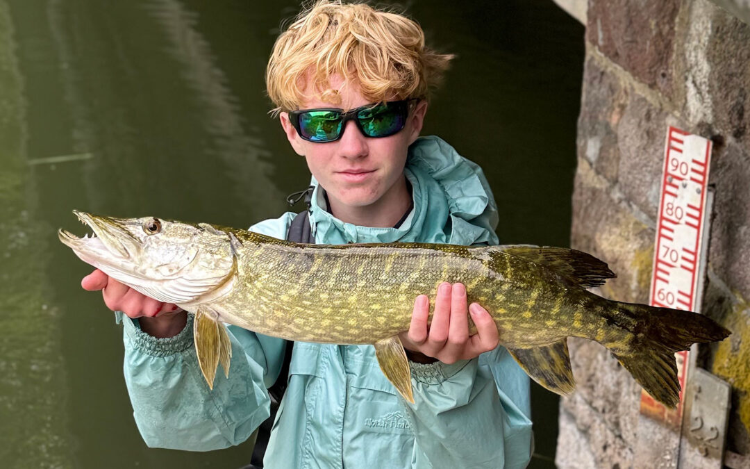 DAIWA OPEN 2026: EN SMUK GEDDE PÅ ABORREGREJET