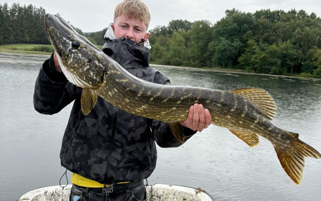 Nikolaj Stokholm med sin flotte gedde taget i Midtjylland på jerkbait.