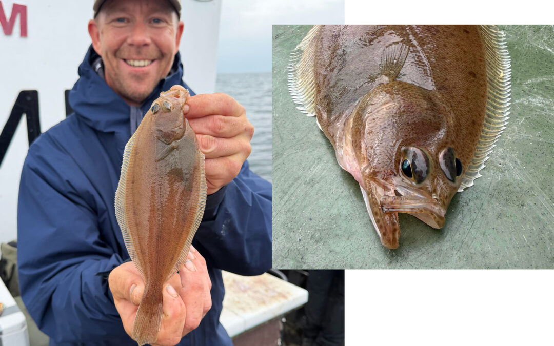 Codfather med en flot håising fra Danske Artsfiskeres tur med skibet Fyrholm fra Spar Lystfiskeri.