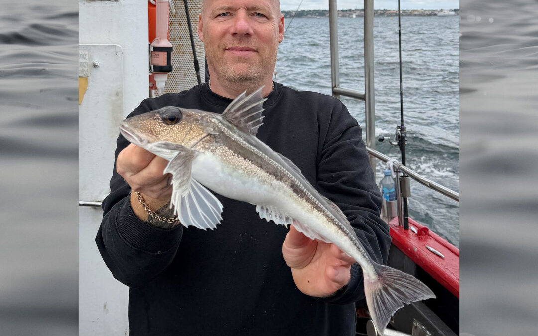Martin Hubert med sin flotte grå knurhane.