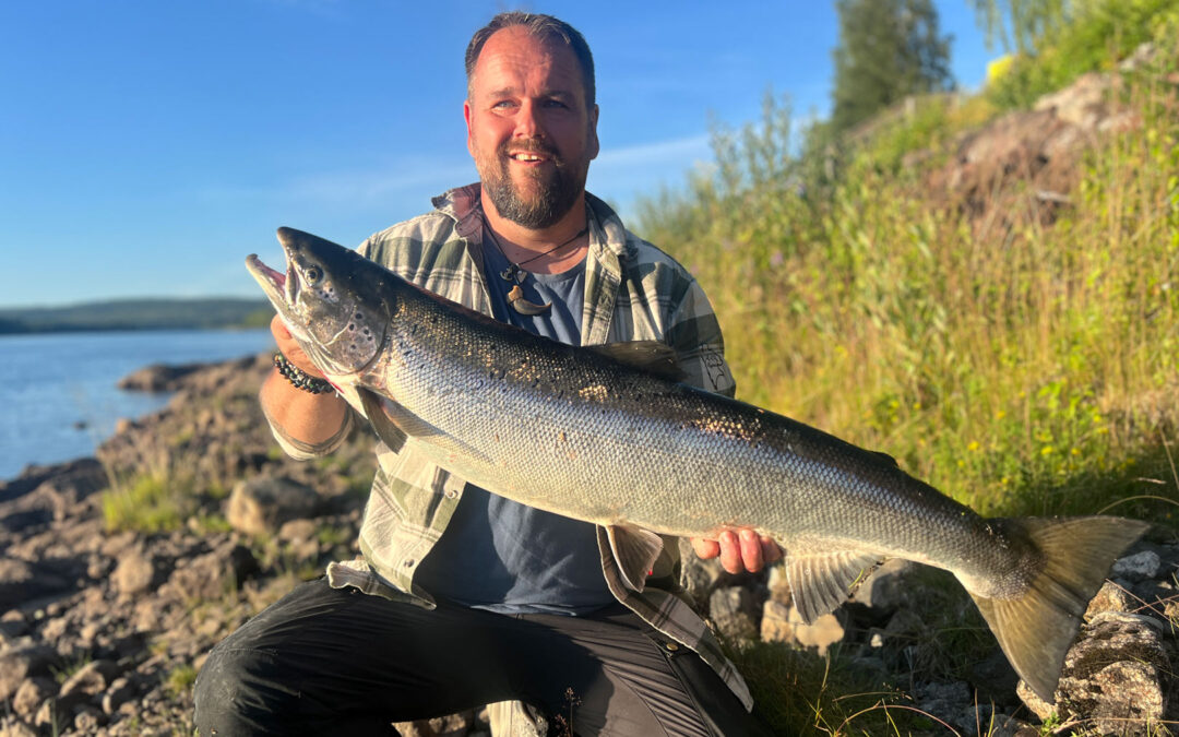 Tor med sin flotte laks fra Bergeforsen ved Indslaälven i Sverige.