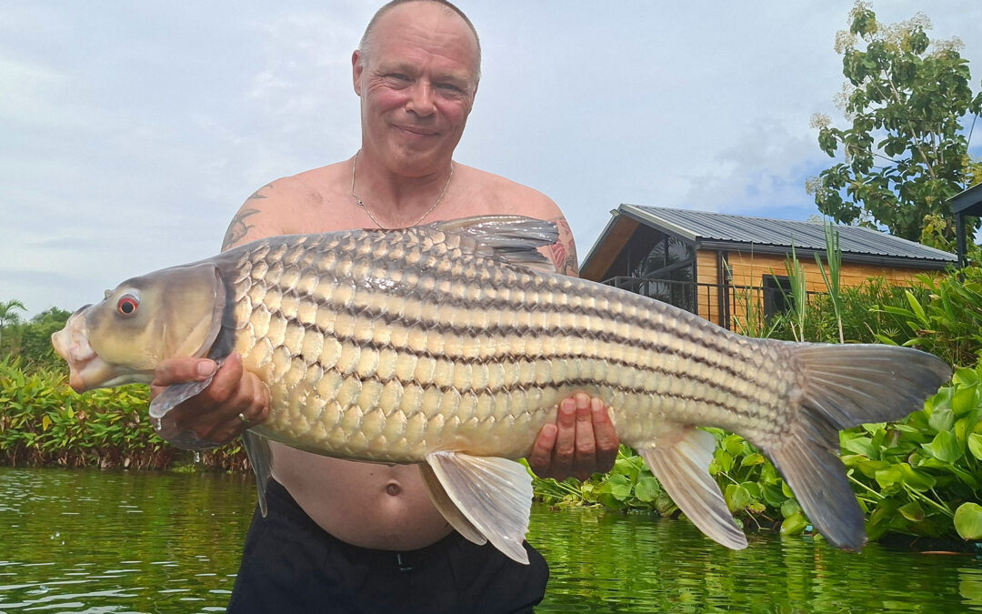 Kim Vejrum Christensen fil flere flotte julians golden carp som denne på sin tur til Thailand.
