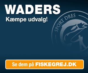Sport Dres