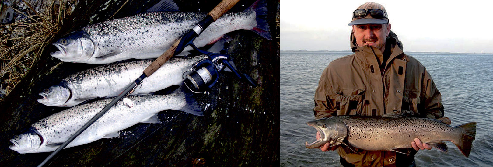 1) Her ses tre fine fisk taget på Morsi marts måned på Mepps spinner.2) Hans Jørgen Nørgaard viser, at der også findes store fisk på Mors, selvom øen mere er kendt for mængden af fisk frem for størrelsen. Her står han med en farvet efterårsørred på 4,6 kilo. Hans oplever dog, at gennemsnitsstørrelsen på fiskene faktisk er stigende.