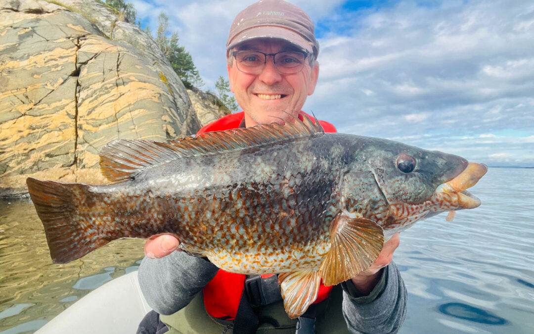 DAIWA OPEN 2026: TIL SVERIGE EFTER BERGYLTER OG SØMROKKER