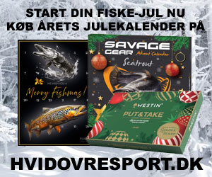 Hvidovre Sport
