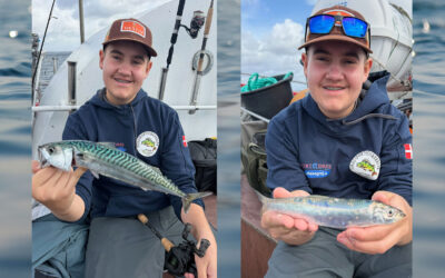DAIWA OPEN 2026: MAKRELTUR MED ARTSBONUS PÅ ØRESUND